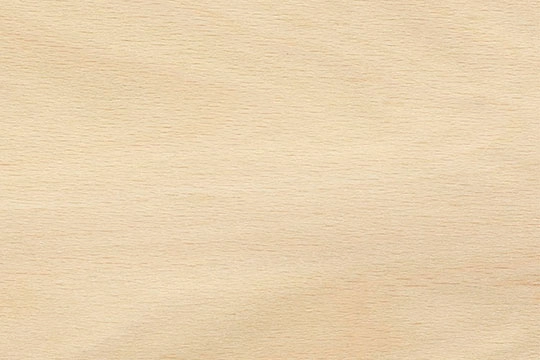 Faig Natural CV