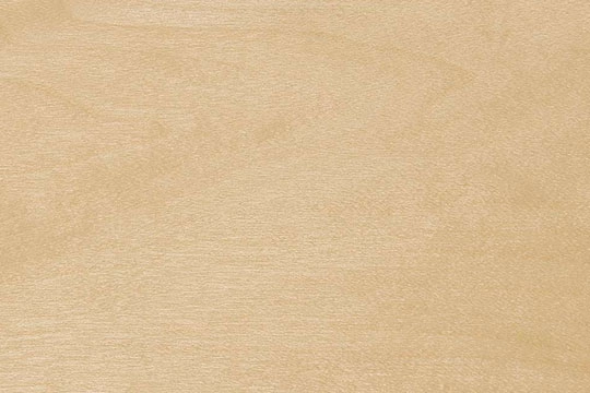 Hard Maple CV