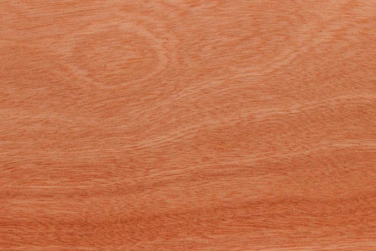 Cedro bossé boule