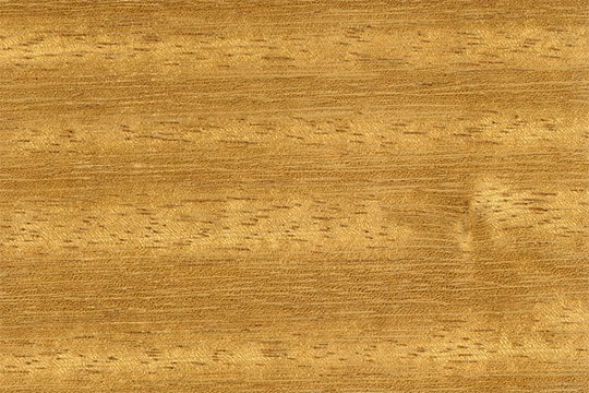 Iroko CV