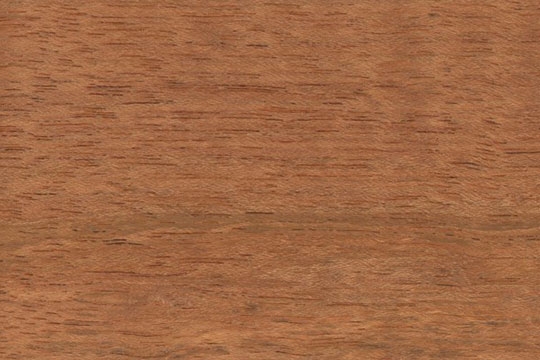 Jatoba