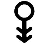 JUNTA PVC FLEXIBLE 3333