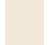 MEGANITE SOLID SURFACE 100% ACRYLIC BONE MEGANITE SOLID SURFACE 100% ACRYLIC BONE