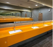MEGANITE SOLID SURFACE 100% ACRYLIC TANGERINE MEGANITE SOLID SURFACE 100% ACRYLIC TANGERINE