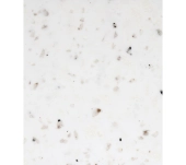 MEGANITE SOLID SURFACE 100% ACRYLIC COTTON