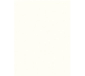 MELAMINA EGGER W1000 BLANC PREMIUM PORUS FUSTA MELAMINA EGGER W1000 BLANC PREMIUM PORUS FUSTA