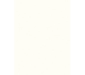 MELAMINA EGGER W1000 BLANCO PREMIUM PORO CATEDRAL MELAMINA EGGER W1000 BLANCO PREMIUM PORO CATEDRAL