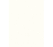 MELAMINA EGGER W1100 BLANCO ALPINO