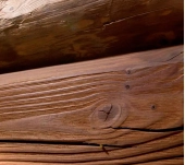 VIGA DE MADERA DOUGLAS TERMOTRATADA BISELADA VIGA DE MADERA DOUGLAS TERMOTRATADA BISELADA