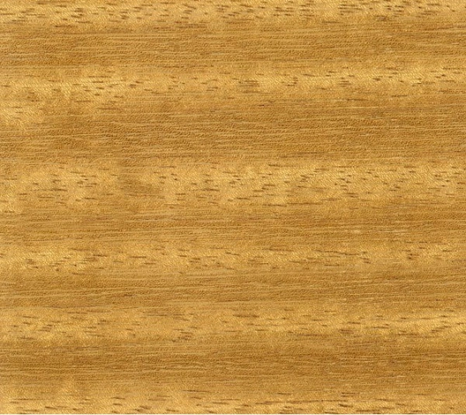 IROKO SECO CONTRAHUELLAS