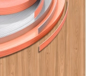 CANTO ABS S/C LOSÁN OLMO BRAVANTE