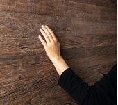 DECOWALL ROBLE ANNABA NATURAL