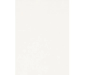 LAMINADO EGGER W960 BLANCO CLASICO