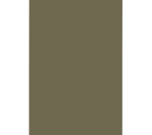 LAMINADO EGGER U645 VERDE AGAVE LAMINADO EGGER U645 VERDE AGAVE