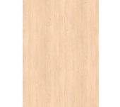 LAMINADO EGGER H1732 ABEDUL ARENA LAMINADO EGGER H1732 ABEDUL ARENA