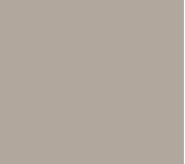 FENIX BEIGE ARIZONA 0748 FENIX BEIGE ARIZONA 0748