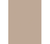 MELAMINA EGGER U200 BEIGE MELAMINA EGGER U200 BEIGE