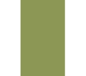 LAMINADO EGGER U626 VERDE KIWI LAMINADO EGGER U626 VERDE KIWI