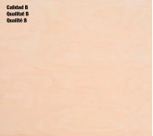 TAULER CONTRAXAPAT MARÍ BEDOLL 100% B/BB WBP TAULER CONTRAXAPAT MARÍ BEDOLL 100% B/BB WBP