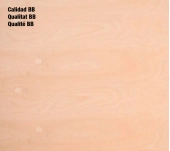 TAULER CONTRAXAPAT MARÍ BEDOLL 100% B/BB WBP TAULER CONTRAXAPAT MARÍ BEDOLL 100% B/BB WBP