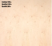 TAULER CONTRAXAPAT MARÍ BEDOLL 100% S/WG+ WBP TAULER CONTRAXAPAT MARÍ BEDOLL 100% S/WG+ WBP