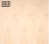 TAULER CONTRAXAPAT MARÍ BEDOLL 100% BB/WG+ WBP TAULER CONTRAXAPAT MARÍ BEDOLL 100% BB/WG+ WBP