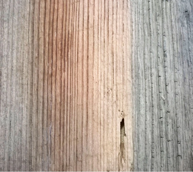 MADERA VIEJA CLASE 2 INCOLORO MADERA VIEJA CLASE 2 INCOLORO