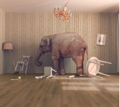SUELO LAMINADO ADVANCED PLUS ROBLE SOMMER