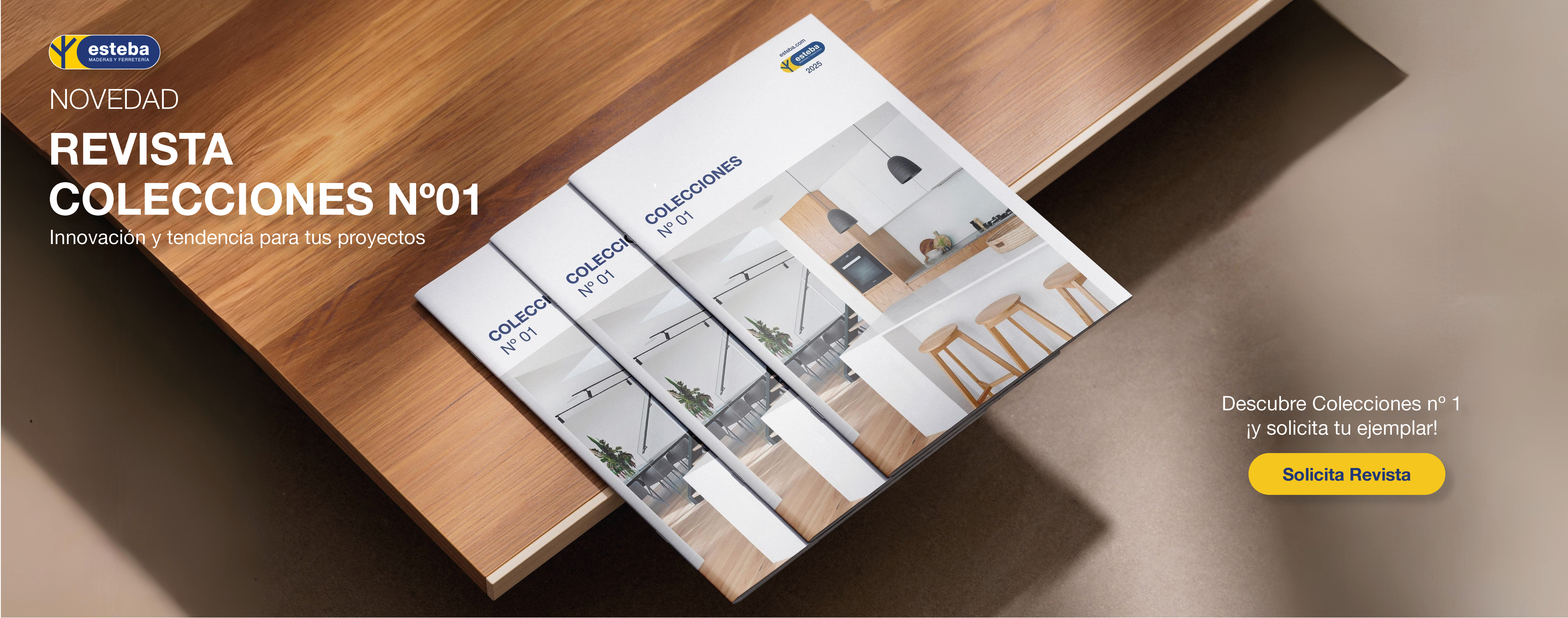 REVISTA COLECCIONES Nº 01 